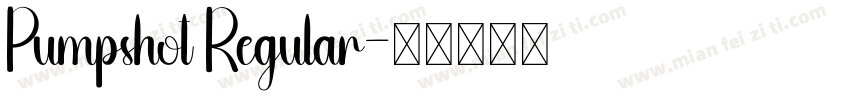 Pumpshot Regular字体转换